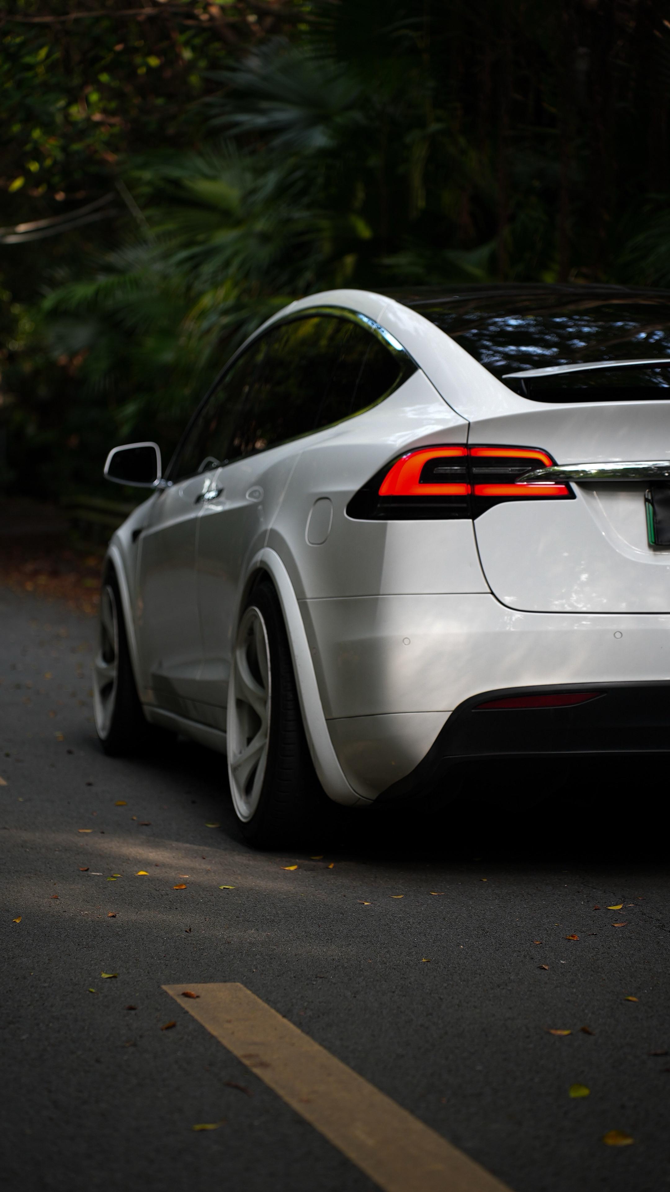 Model X.