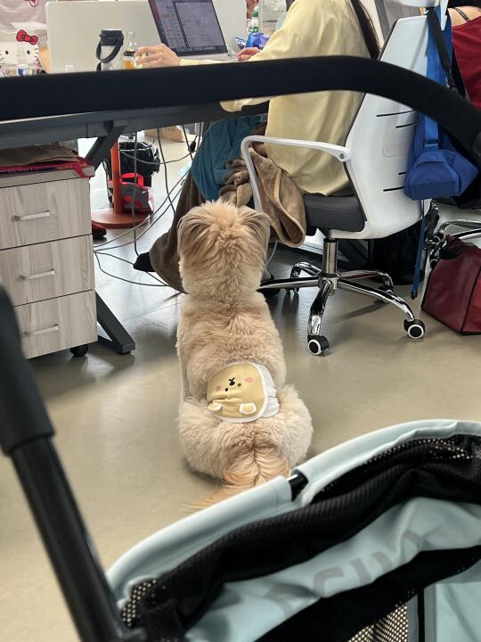 你有这样的同事监工