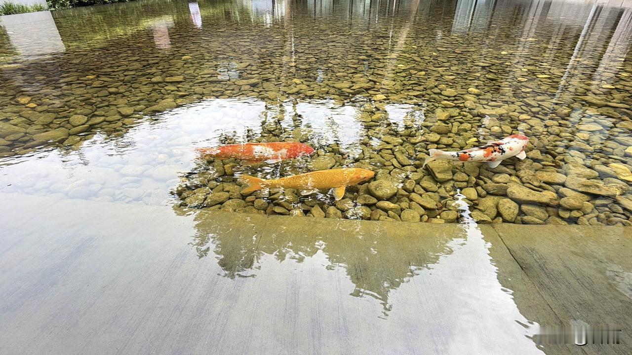 60岁以后，必须要这样保持积极的心态，你能做到吗

对于大部分人来说，到了60岁