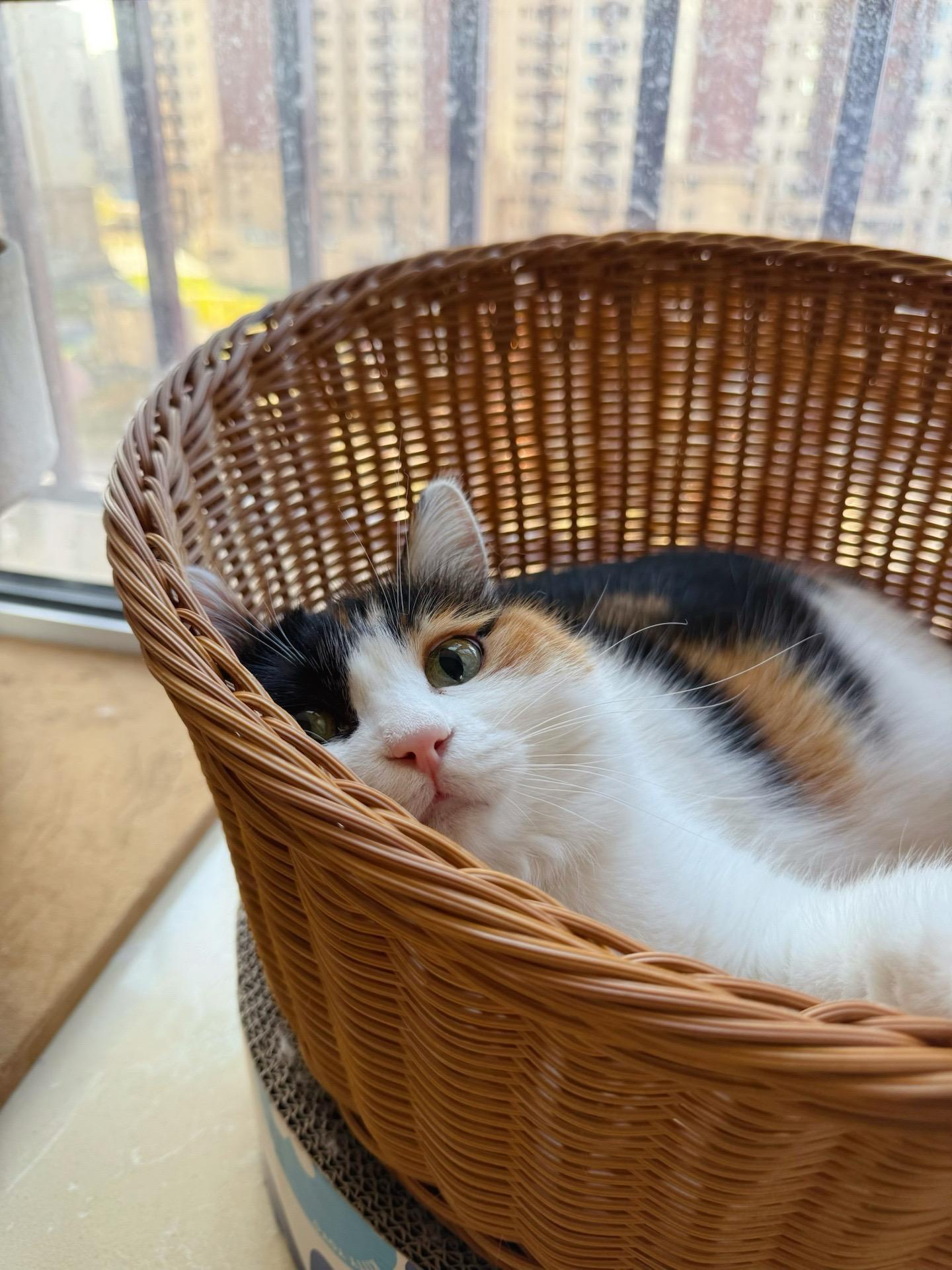 她好像知道自己很美。