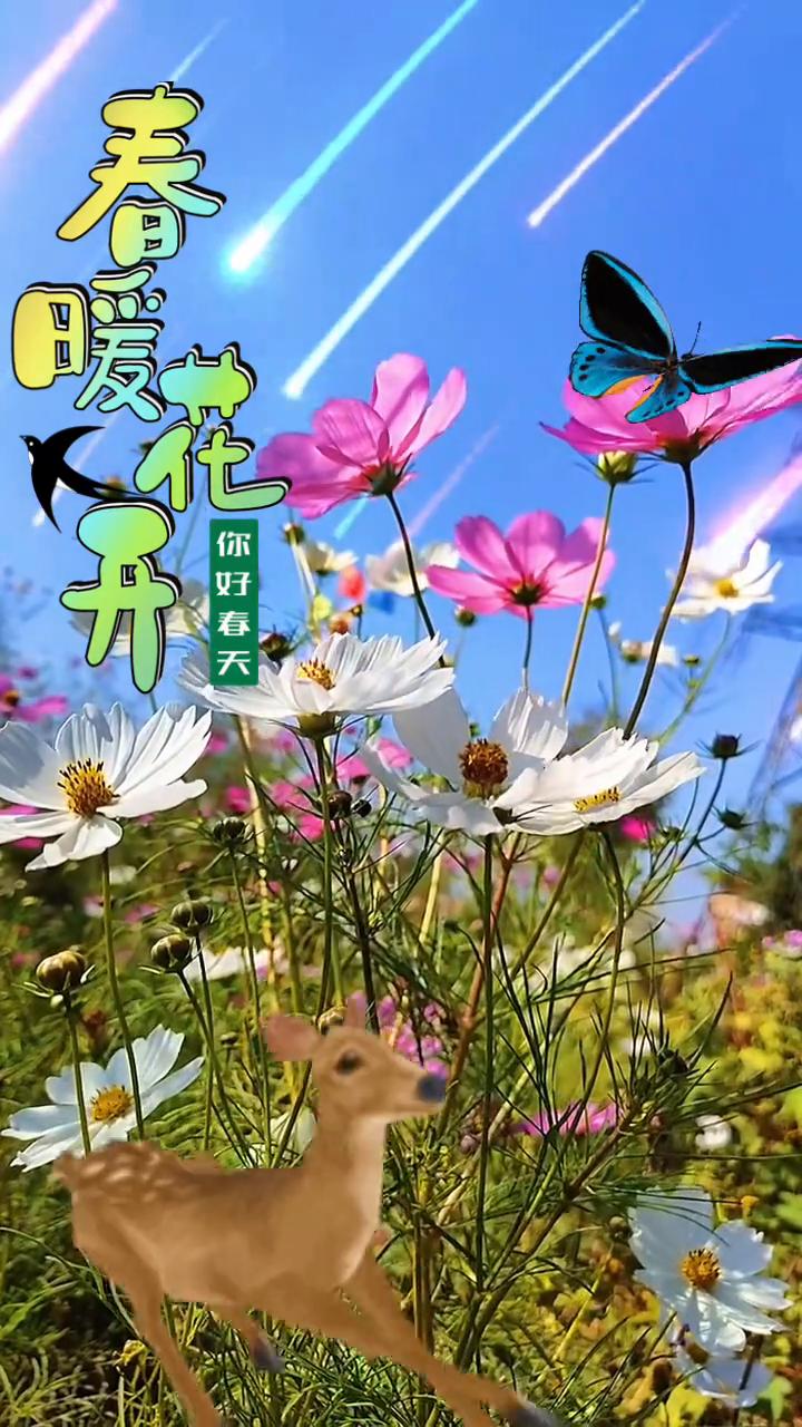 春暖开。