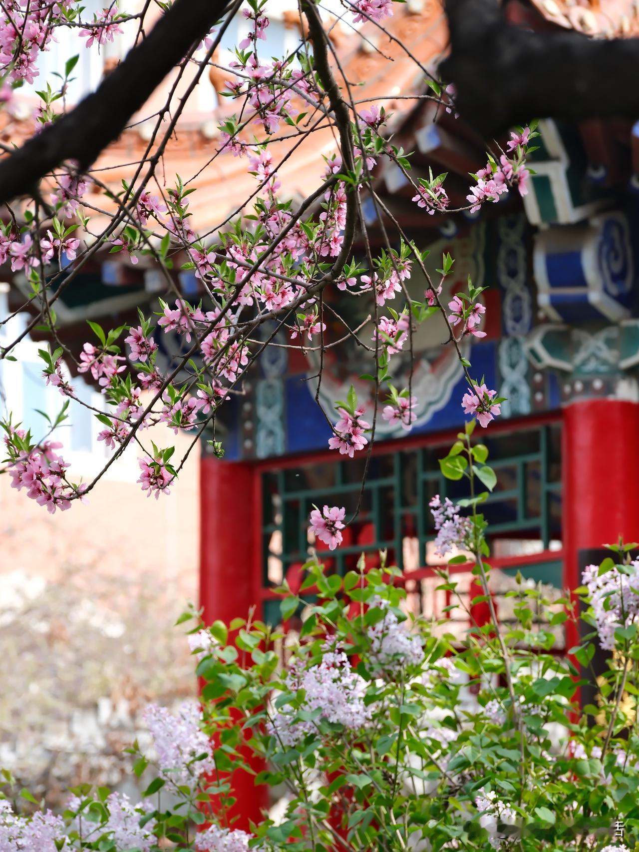 人间分寸，心知肚明
 
人到一定年纪，渐渐就懂了，人与人之间的相处，全在一份分寸