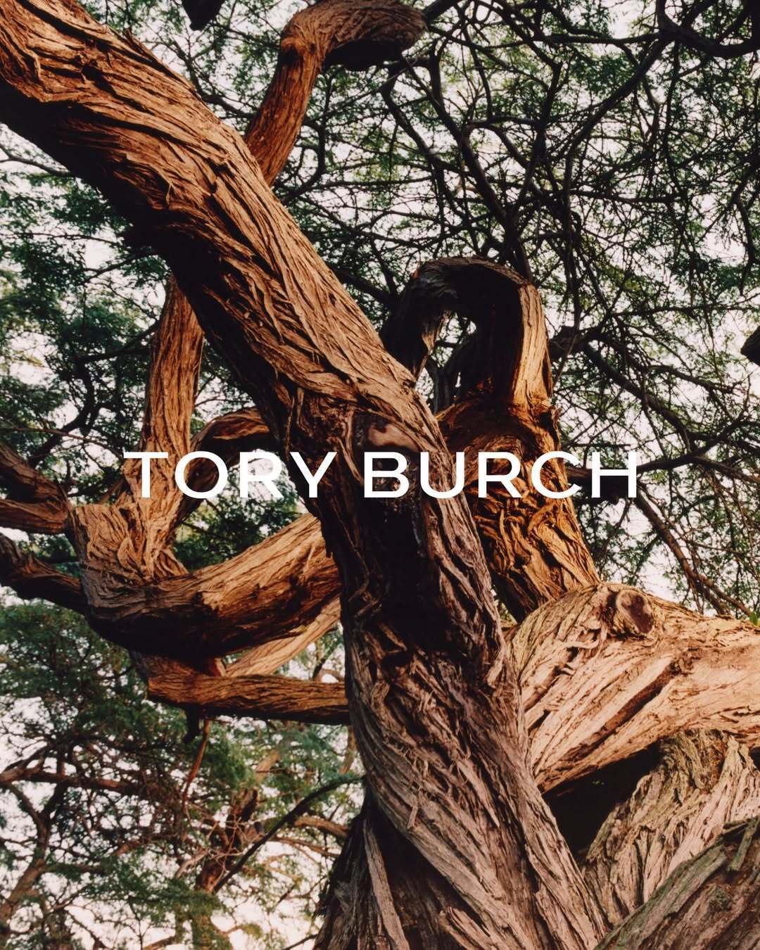 李禾佳，Awer Odhiang，Alex Consani Tory Burch