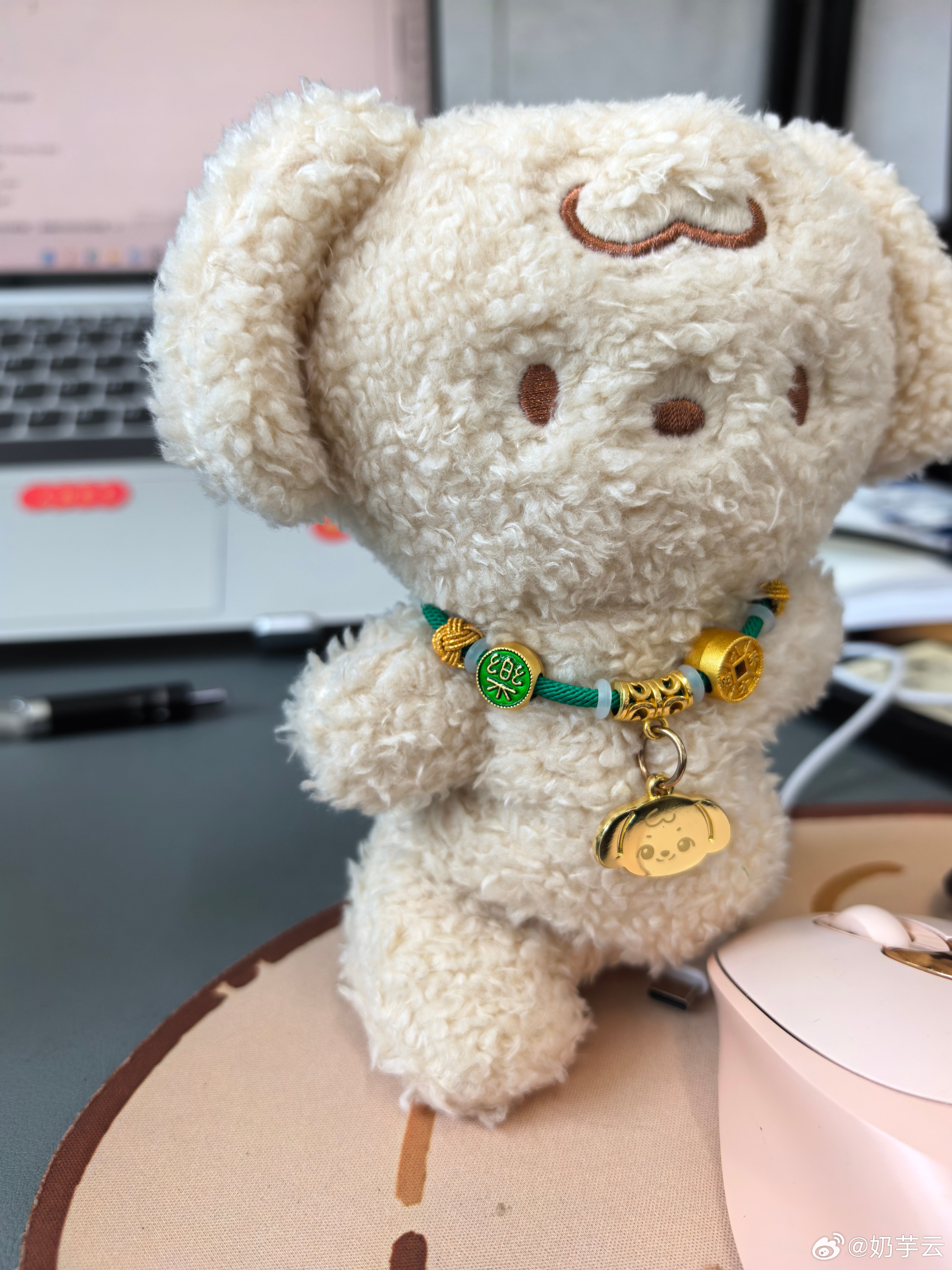 这个小得斗前一天才到家，第二天就来陪我上班 