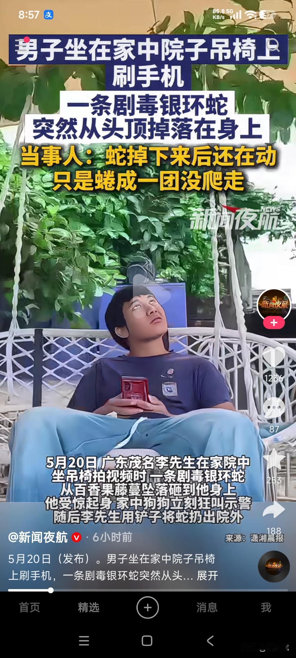 男子坐在家中院子吊椅上刷手机，一条剧毒银环蛇突然从头顶掉落到身上，男子吓的起身撒