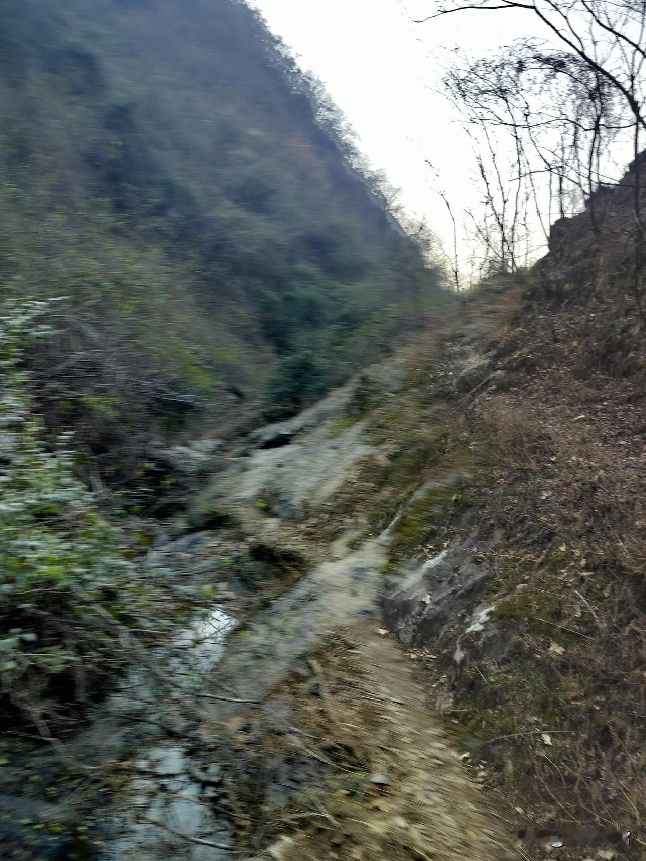 大山深处的小道