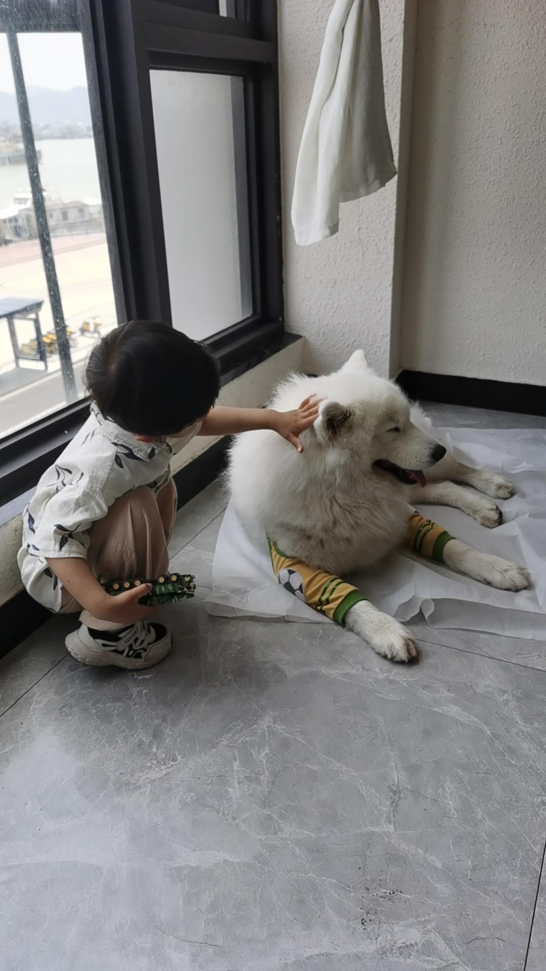 @抖音小助手
