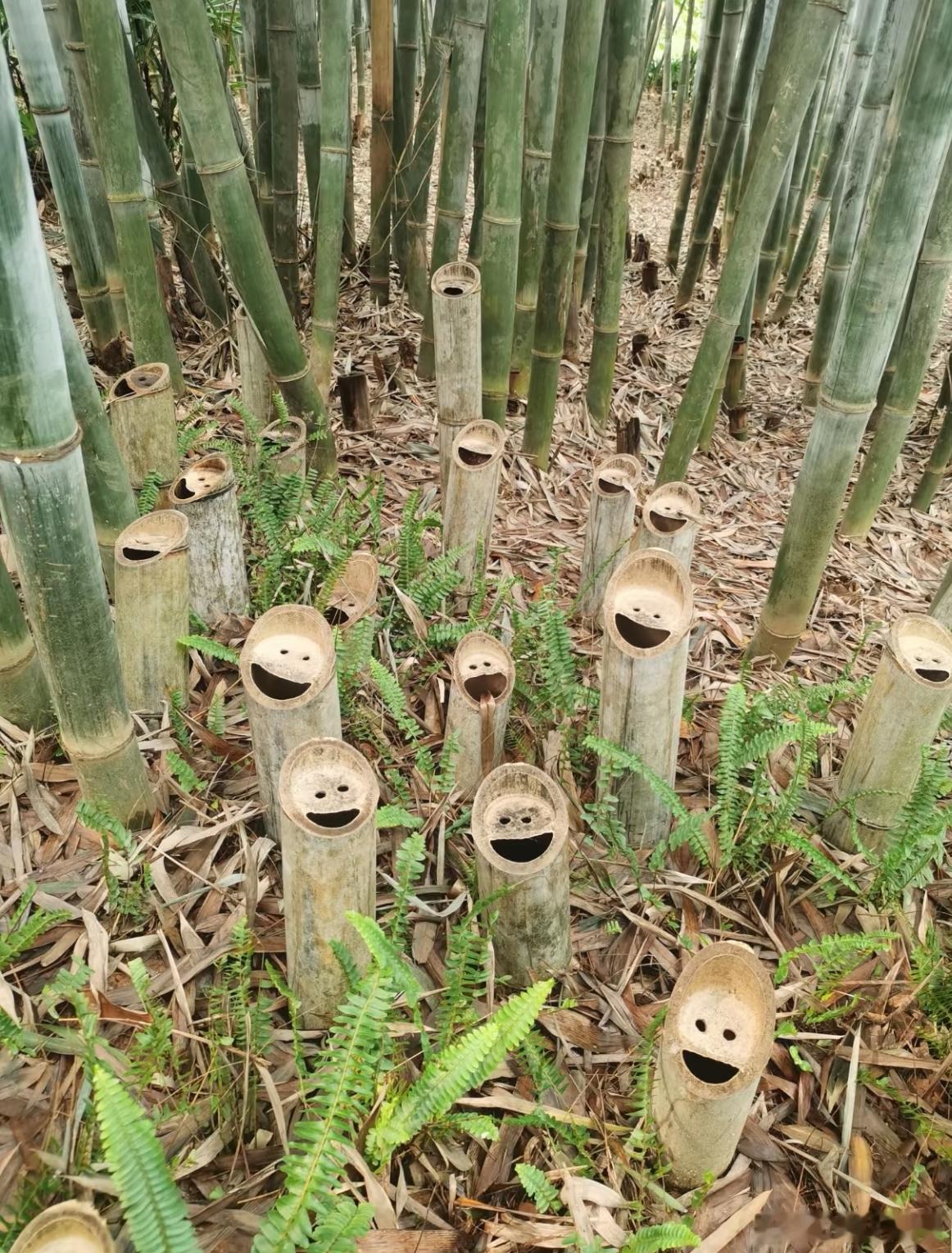 算了你肯定觉得没意思 