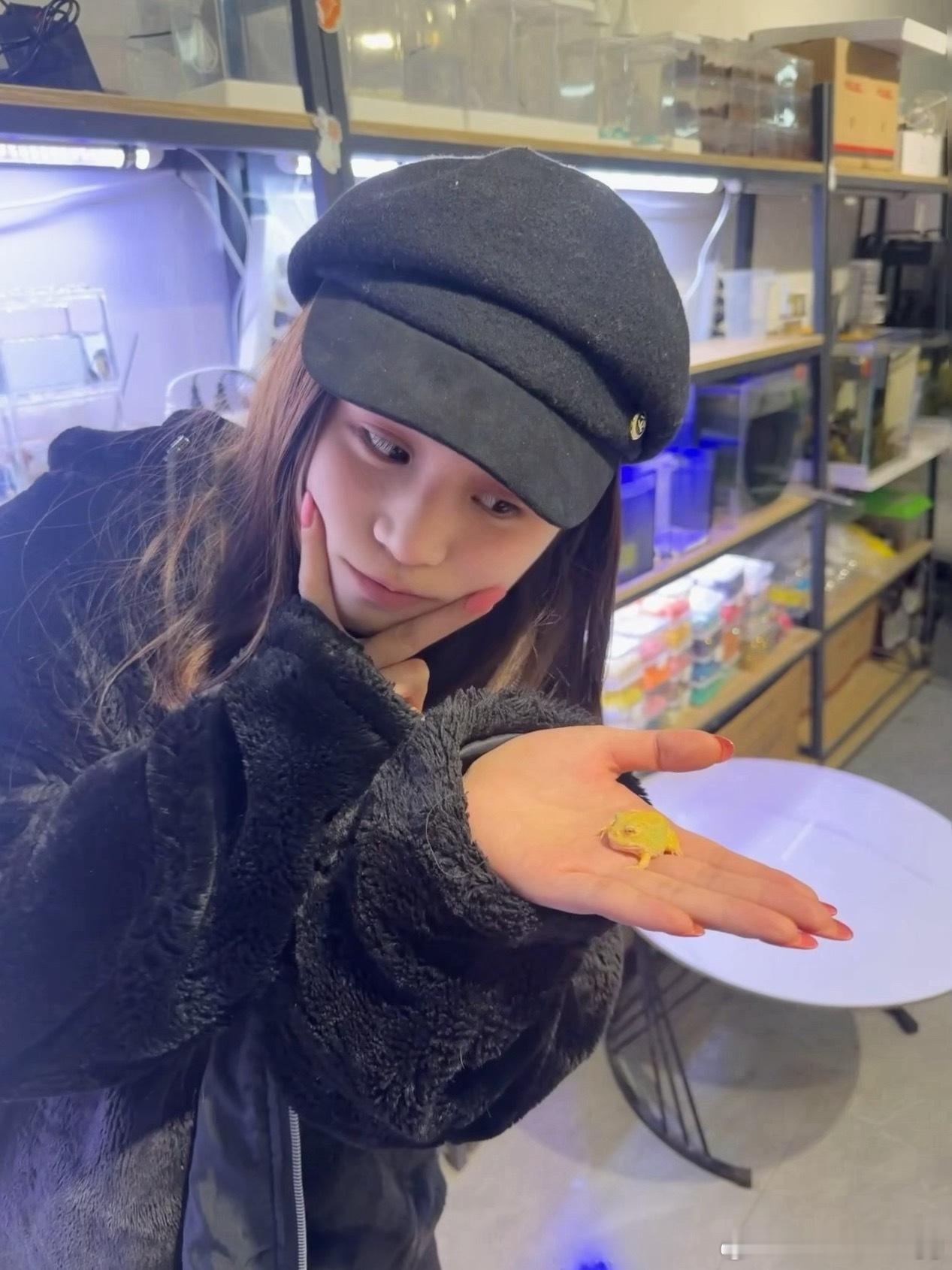 有人养过角蛙嘛 我角蛙到家三四天了喂吃的不吃咋办啊