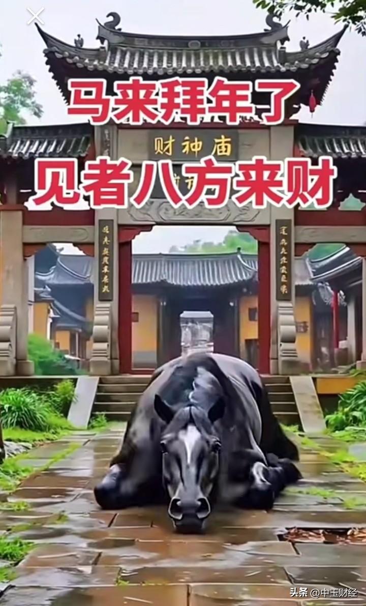 天南地北大拜年春节已经实实在在的过完了，然而想起那个马年黑马拜年的场景，还的确记