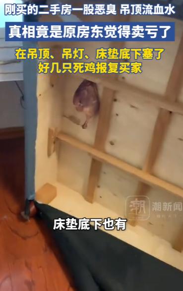 心太黑了！安徽合肥，一女子在中介买了套二手房，合同白纸黑字写着“家电全部留下”，