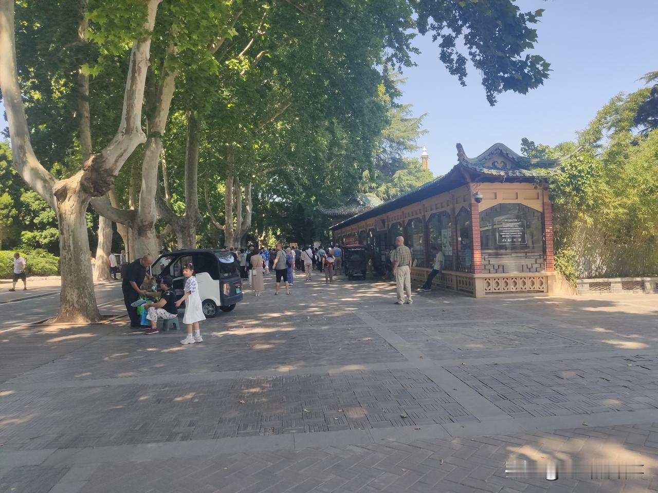 虽然天很热，但大家在大树下却感到很惬意，放开喉咙，高歌一曲，锻炼身体的同时也愉悦