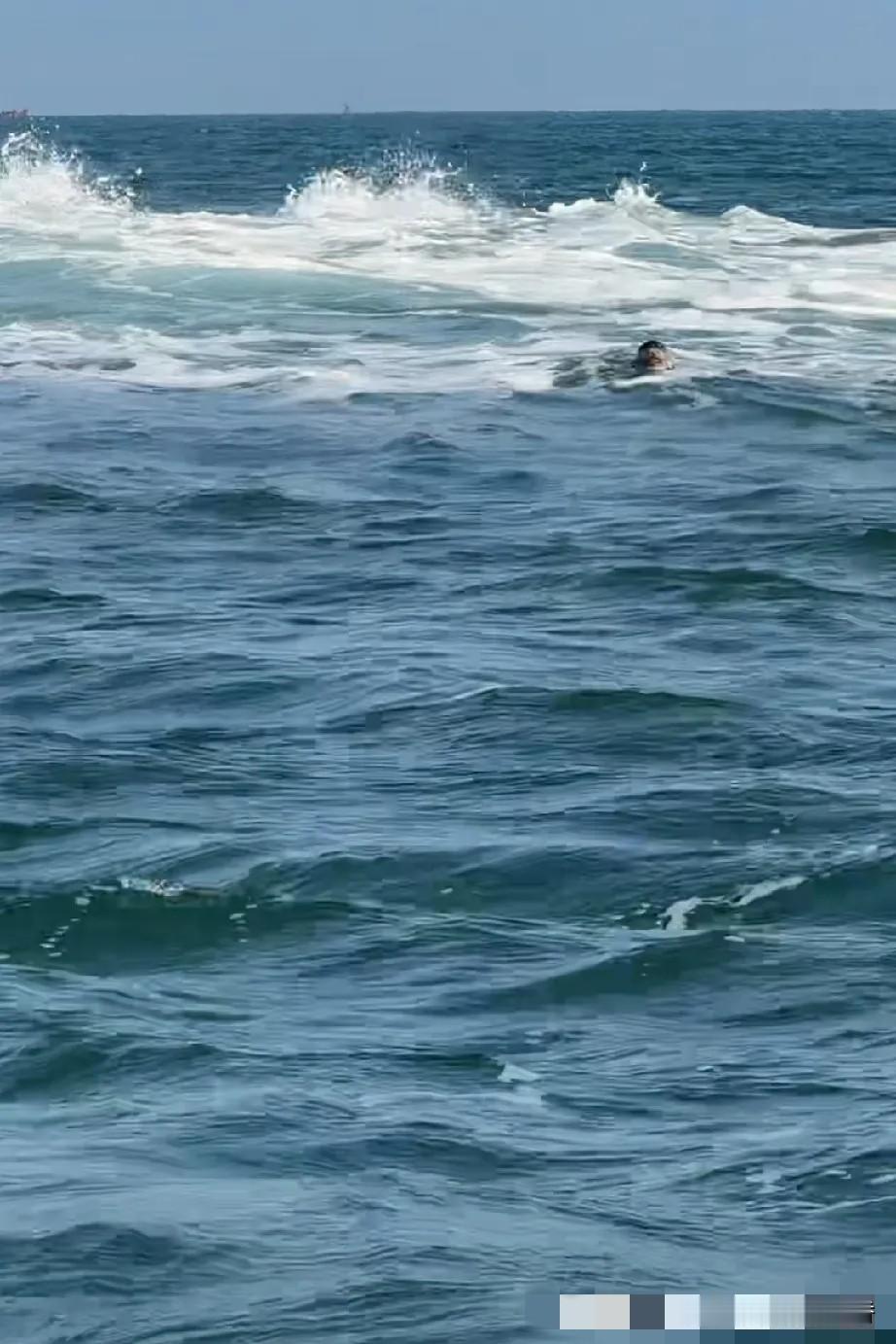 广西奶爸确认了，在瓜皮岛海狗礁附近的三只海豹，那只最小的，就是娜娜！虽然它身子没