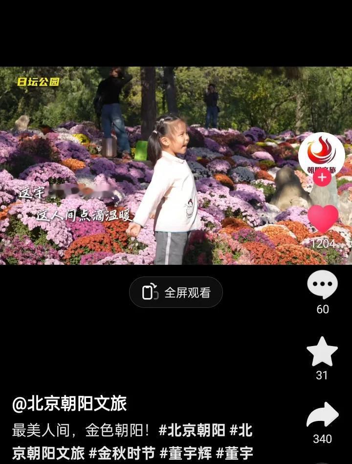 北京朝阳文旅董宇辉：人间值得
最美人间金色朝阳欢迎你
宇辉同行必有所获欢乐开怀@