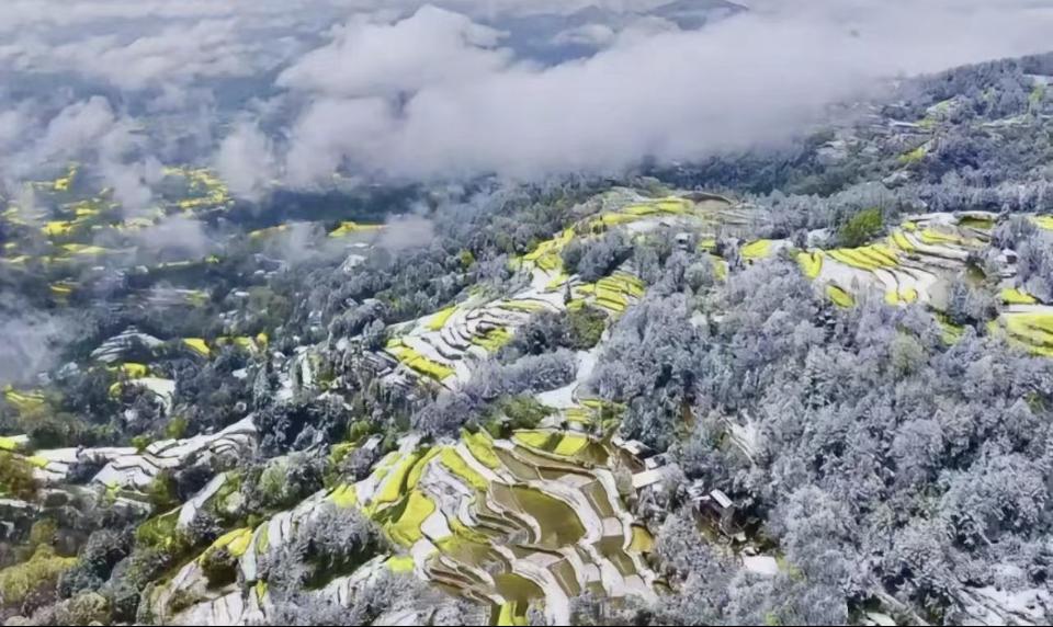 汉中三月春雪

三月秦巴柳未苏，忽惊寒雪覆平芜。
梯田金萼凝霜色，云壑松涛带玉珠