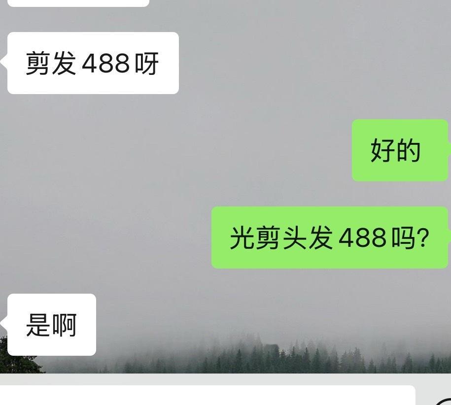 我想知道剪什么头发能488💰是能剪出花儿来吗？？？？？？？能给我剪成范冰冰吗？