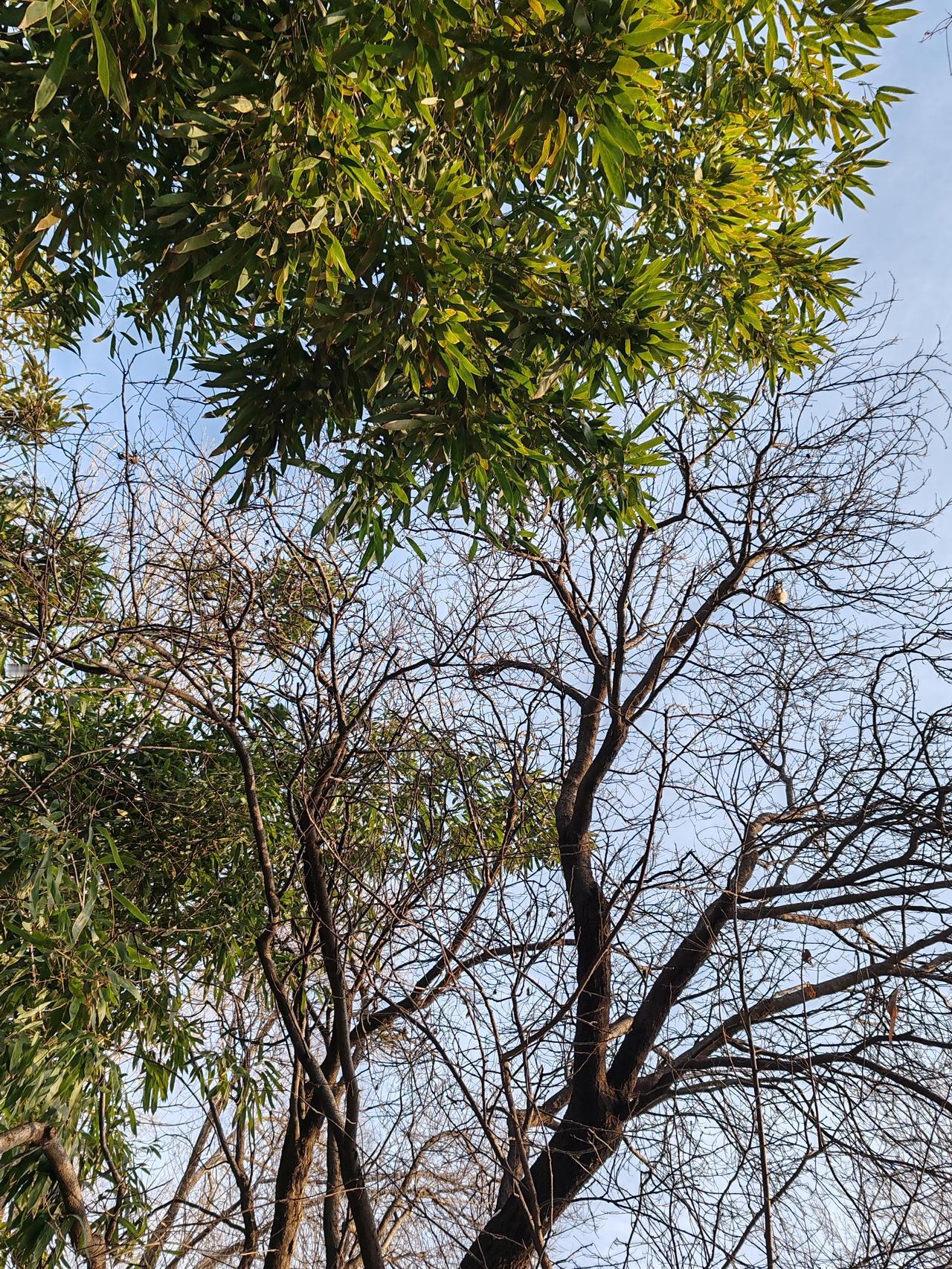 一张图证明冬天来了随手拍。