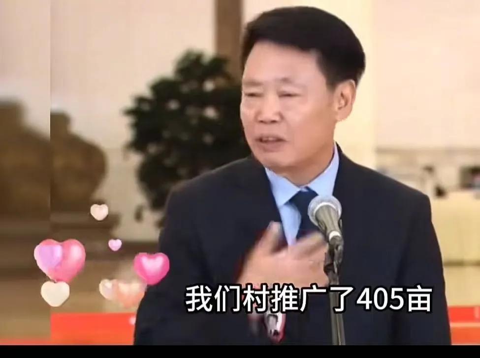 “我们欠他一个道歉？”朱有勇院士推广水稻上山，被质疑“疑劳命伤财，有正常脑子的人
