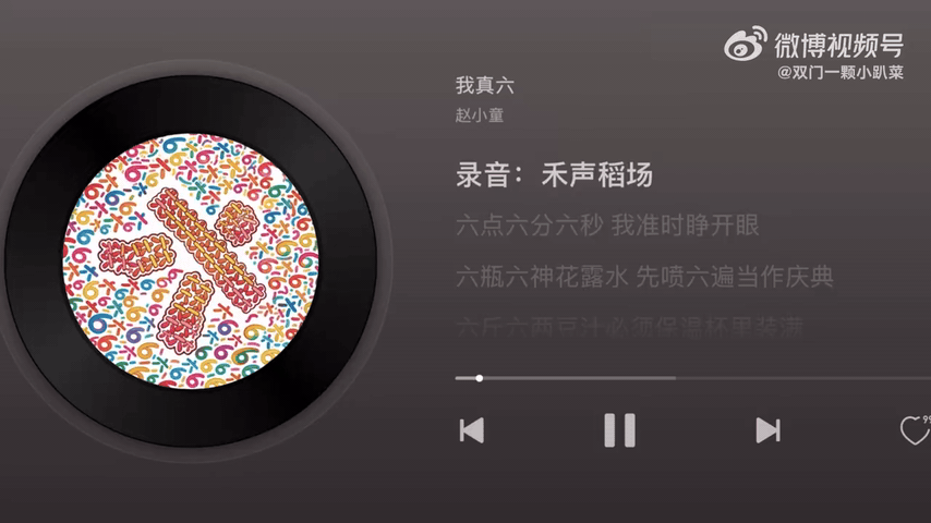 赵小童 我真六终于等到这首《我真六》，果然延续了赵小童独有的搞笑创作风格。节奏轻