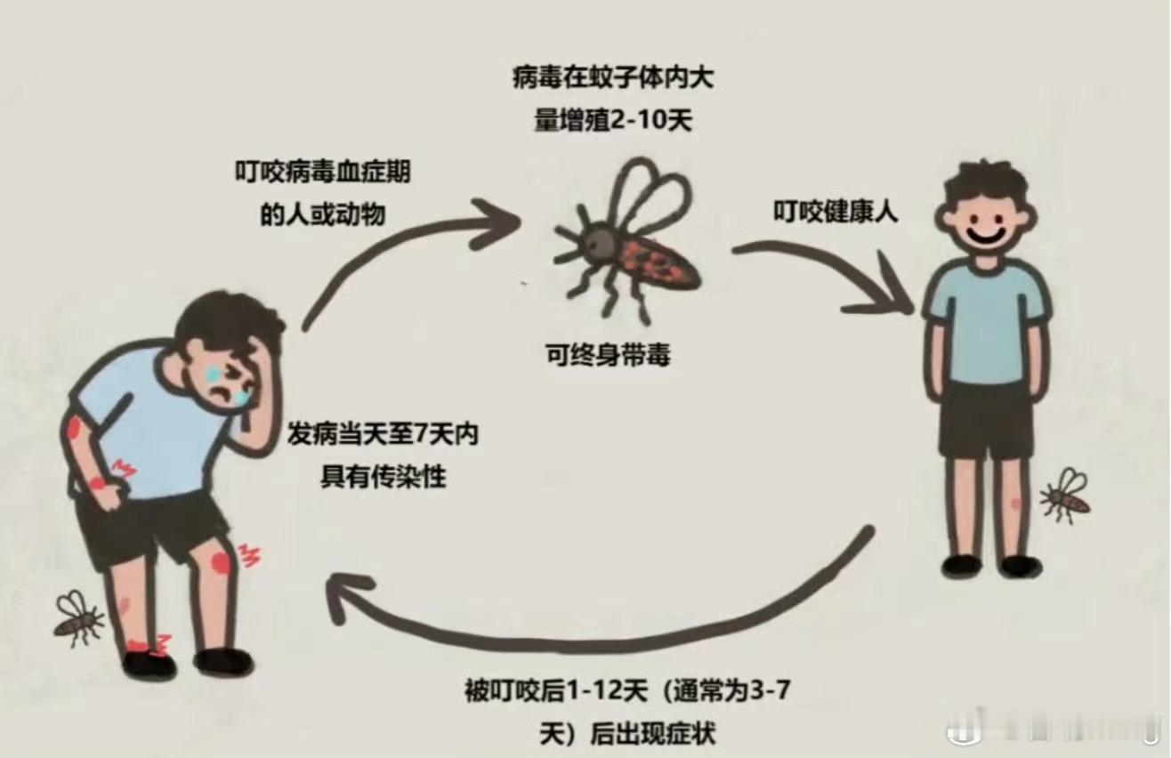 广东新增2892例基孔肯雅热本地病例现在出门都怕被蚊子咬，感觉蚊子都已经不怕蚊怕