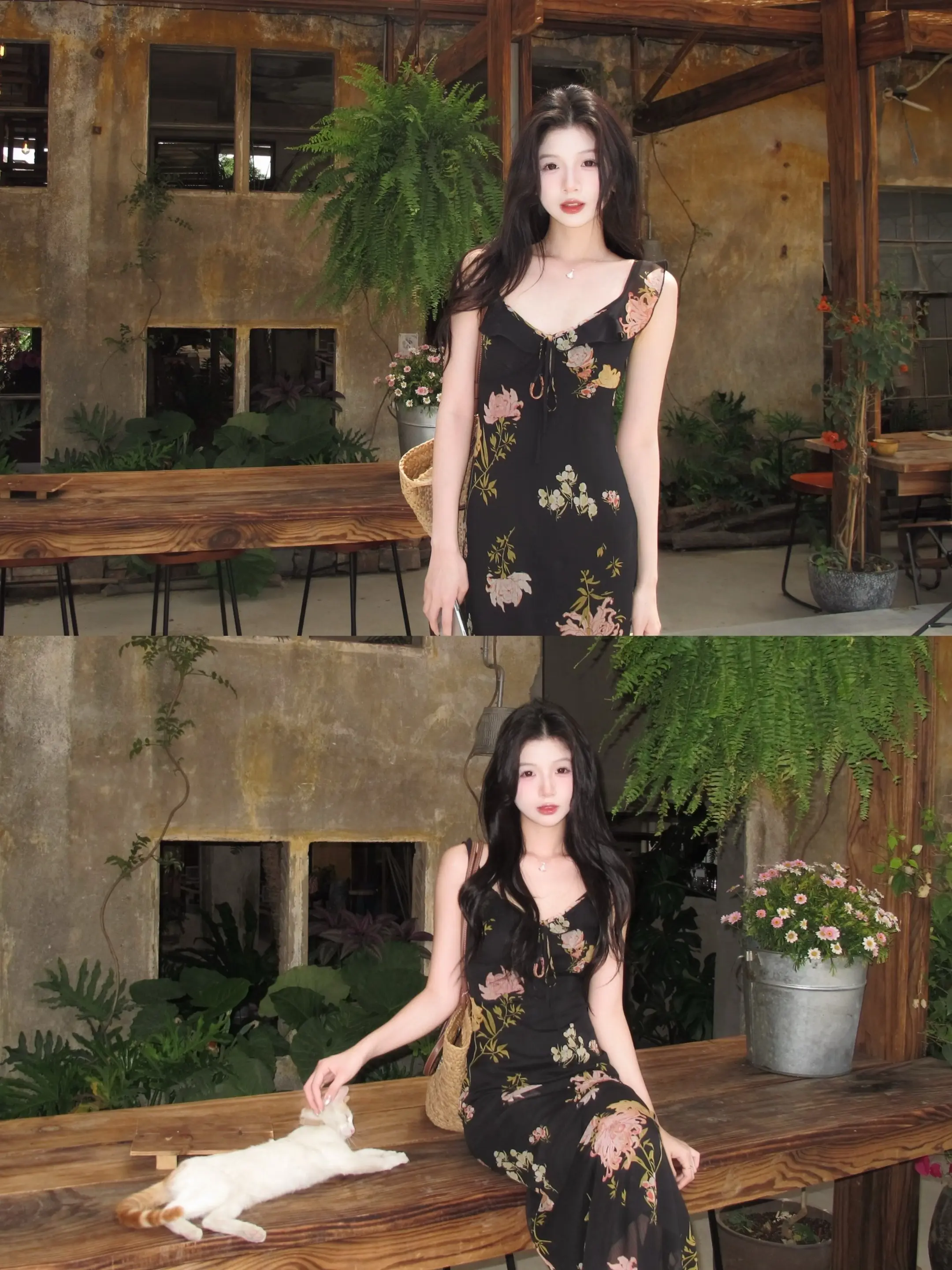 小猫喜欢谁就黏着谁  你也是吗。