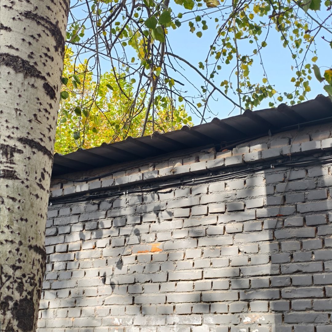 等外卖的时候靠在共享电车上，脚底下是落叶，迎面吹来被太阳晒的暖暖的风，一边耳朵里