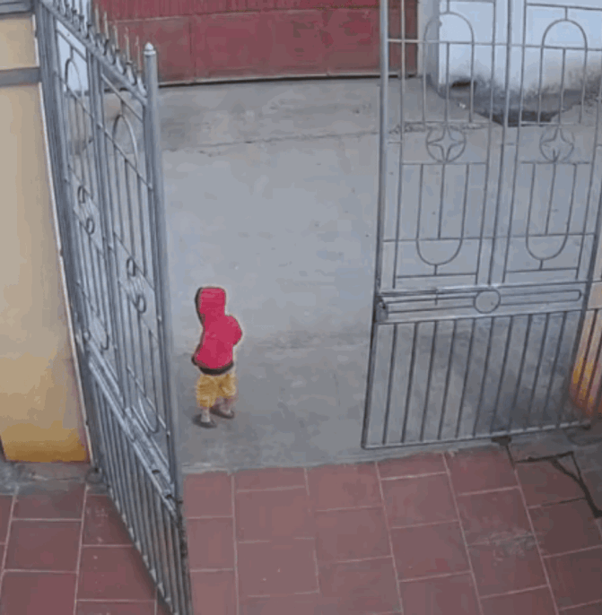 太治愈了！骨子里带来的善良，本就是天生的美好，藏都藏不住！