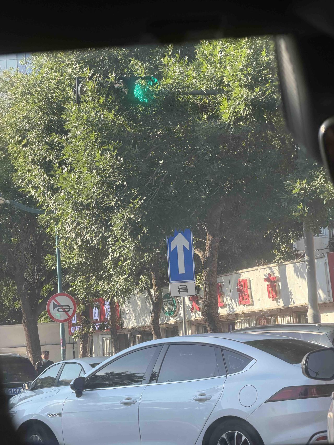 这是我见过最不容易看到的红绿灯，被树叶挡住了部分，所以说，开车一定要注意观察环境