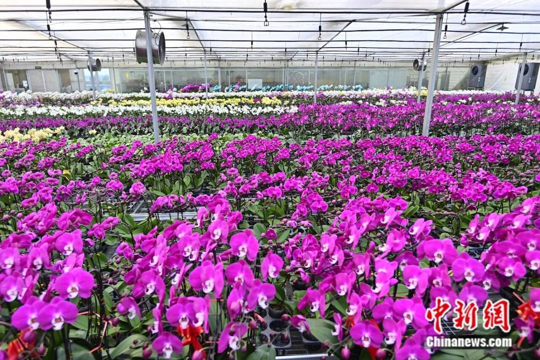 渤海以南，泰山以北，齐鲁腹地，藏着一座宝藏小城——潍坊青州。你也许没有来过这里，