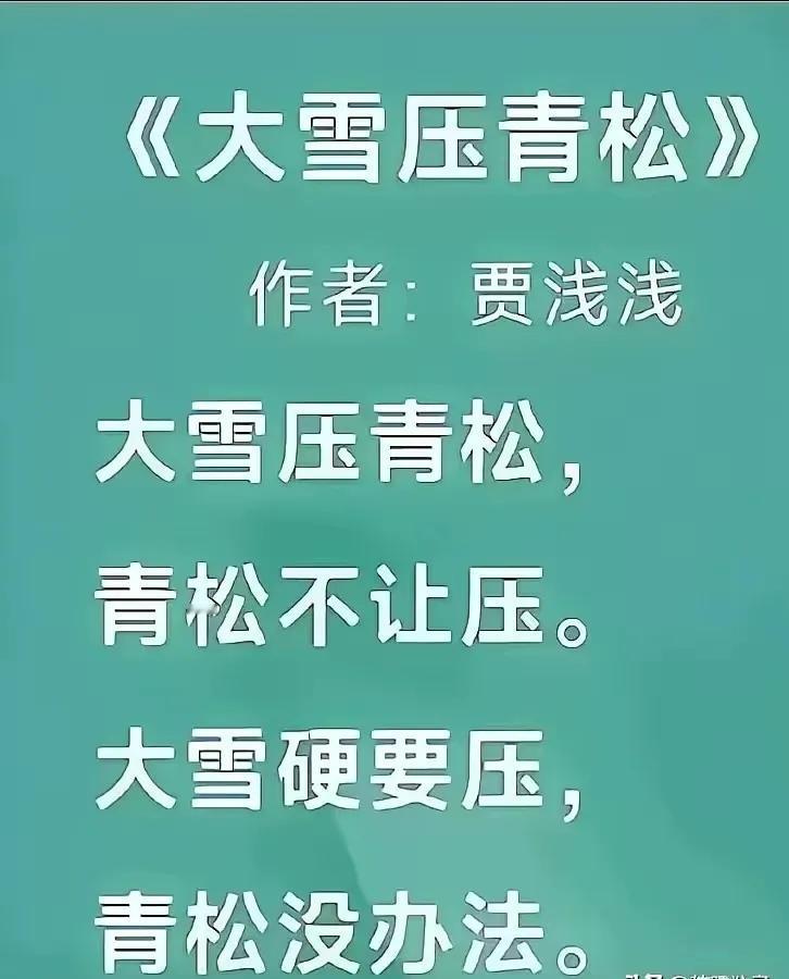 这诗真是她写的？我怎么不相信呢？如果是真的，我也是无语了。一首诗激发了网友的创作
