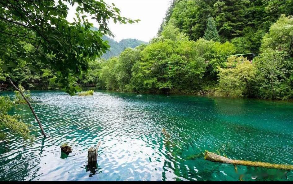 能治愈的风景！