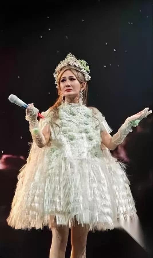 谢娜要开巡演

这事吵翻了

没人敢说透背后的真实算盘。

好多人都猜，谢娜两口