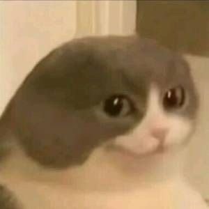 #凌晨三点看球能有多努力#和好朋友一起凌晨3:00看球真的是可以快乐加倍的，完全