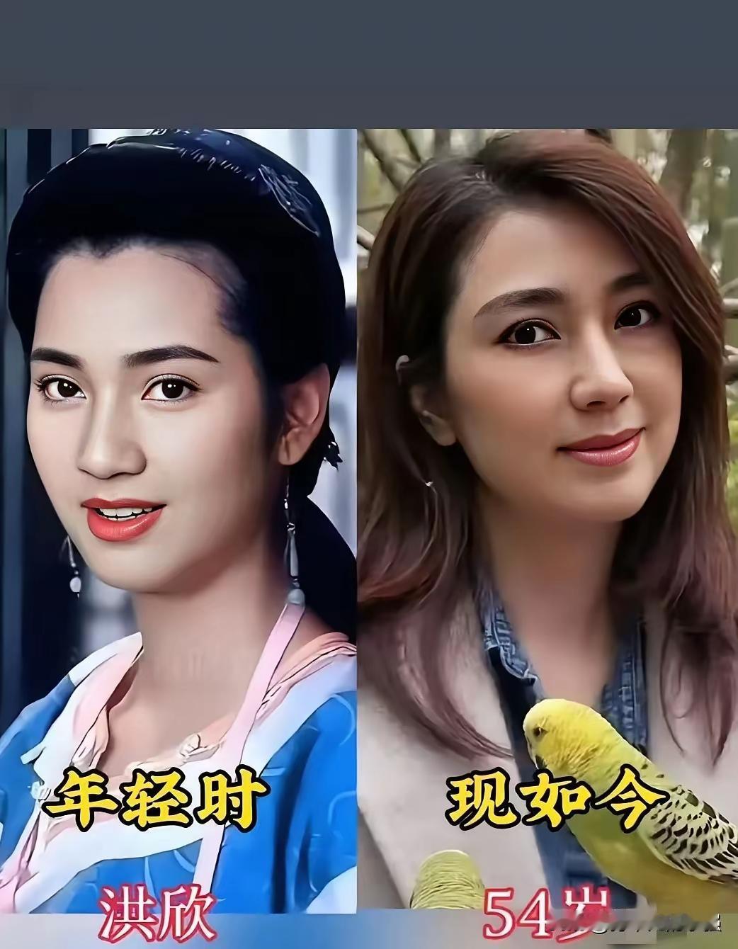 岁月仿佛格外优待这几位美人啊！年轻时候的他们都是经验青春的存在，但是现在虽然年纪