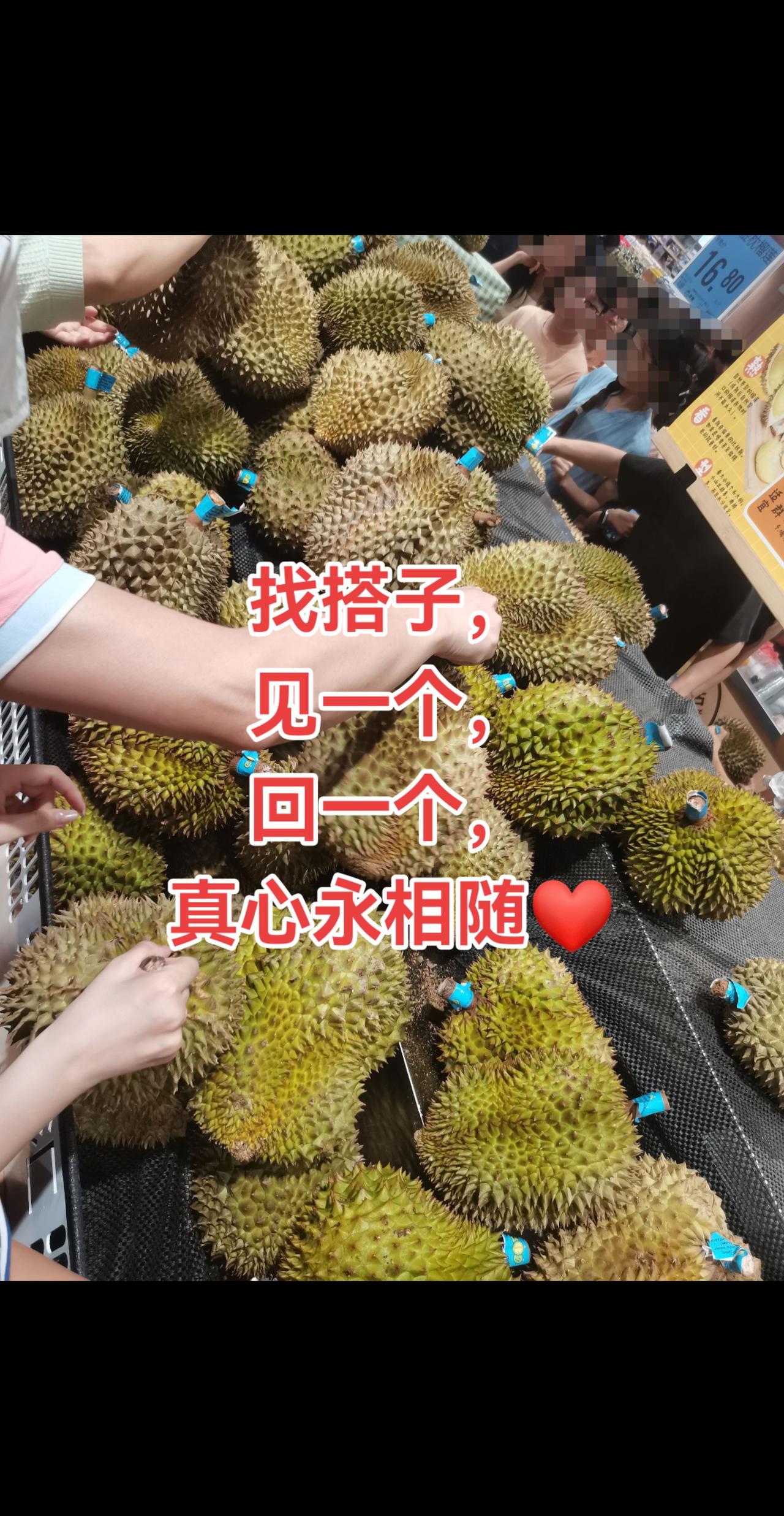 金枕榴莲 找搭子抱团抖音新人