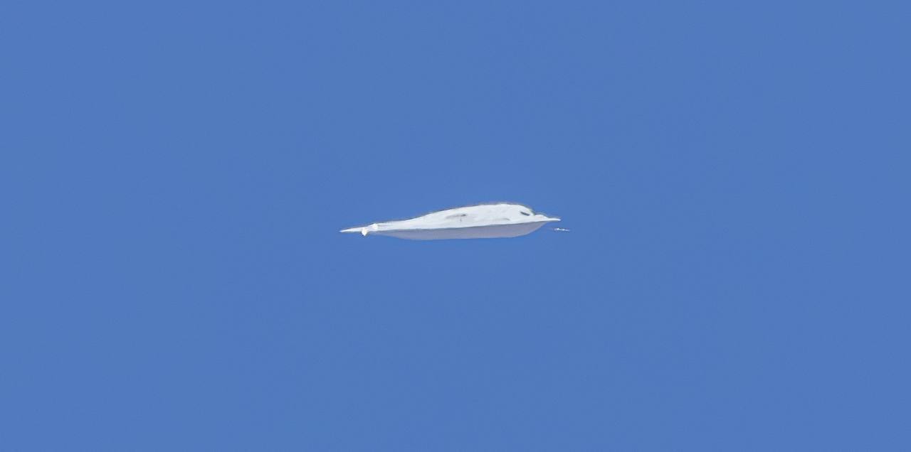 一架美国空军的B-21“突袭者”隐形战略轰炸机，昨日在加利福尼亚州东南部的爱德华