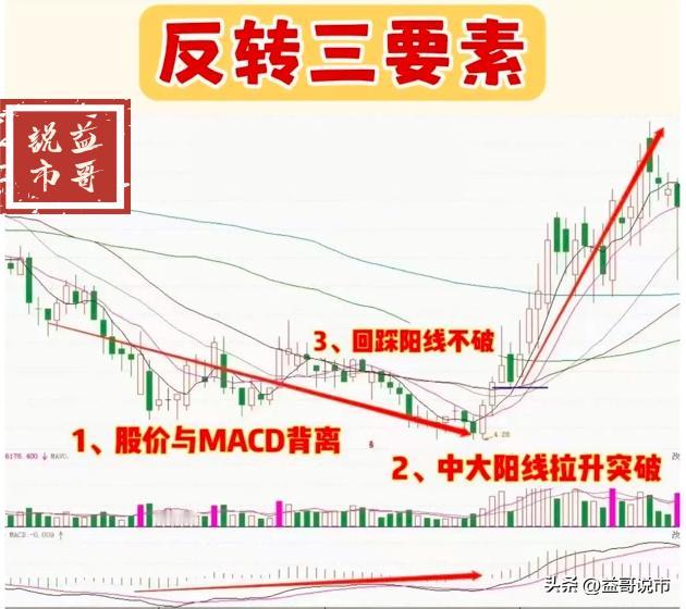炒股一旦开窍，生涯就像是悟了道。五年前的那个深夜，我体会到了这种感觉，并通过长时