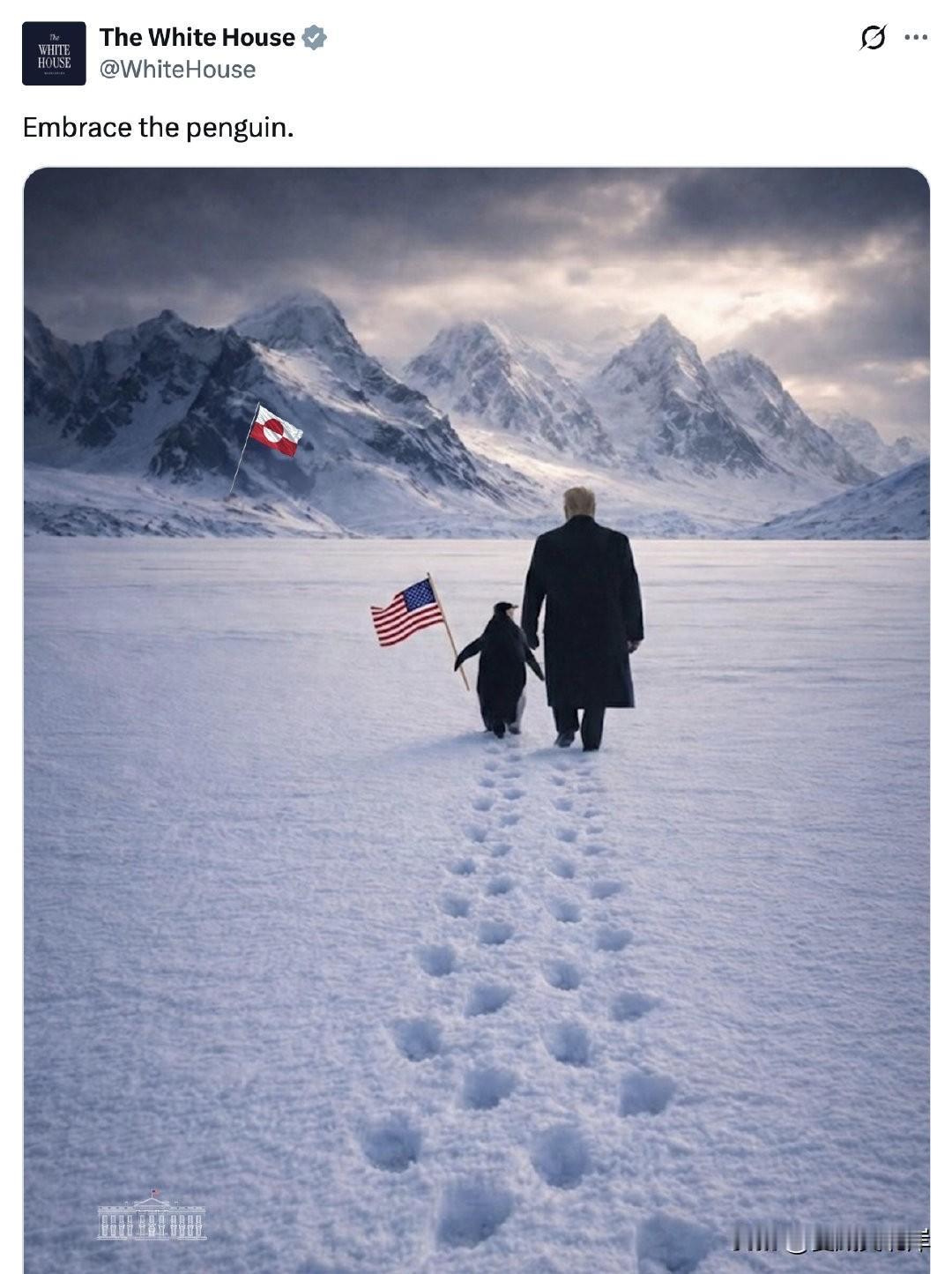 闹笑话！白宫发文川普在格陵兰岛“拥抱企鹅”。
而事实上，格陵兰岛没有企鹅，只有北