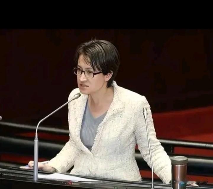台湾地区副领导人萧美琴今天在“凯达格兰论坛”午宴致词时叫嚣称，安全不能建立在软弱