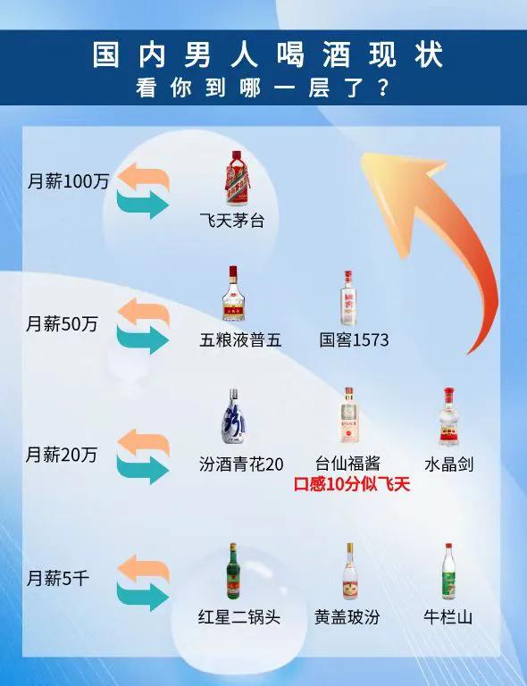 国内男人喝酒现状，什么身份喝什么酒，看你到哪一层了？

【月入100万】
飞天茅