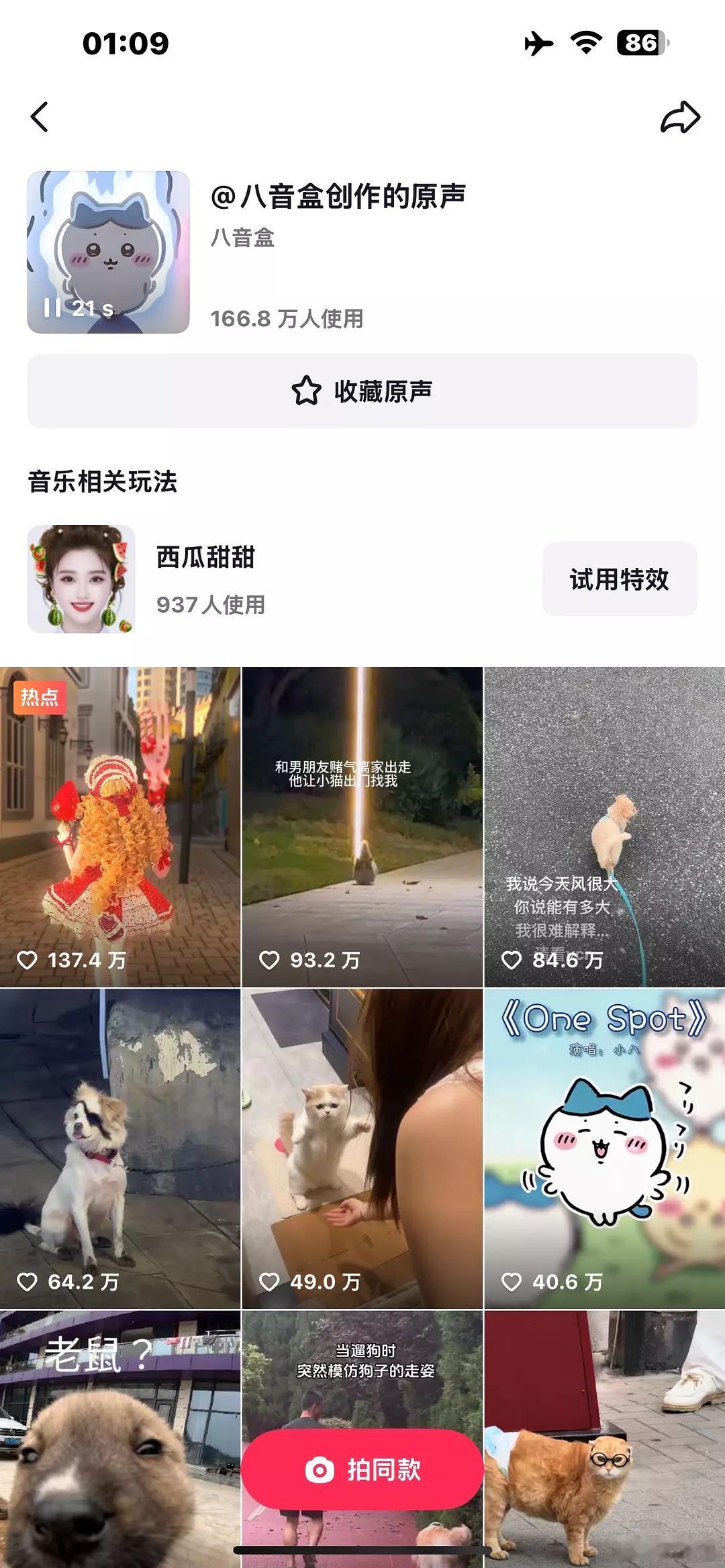 今年国内韩娱最火的歌竟然是小沈阳女儿沈佳润的One Spot，美美桑内~沈佳润 