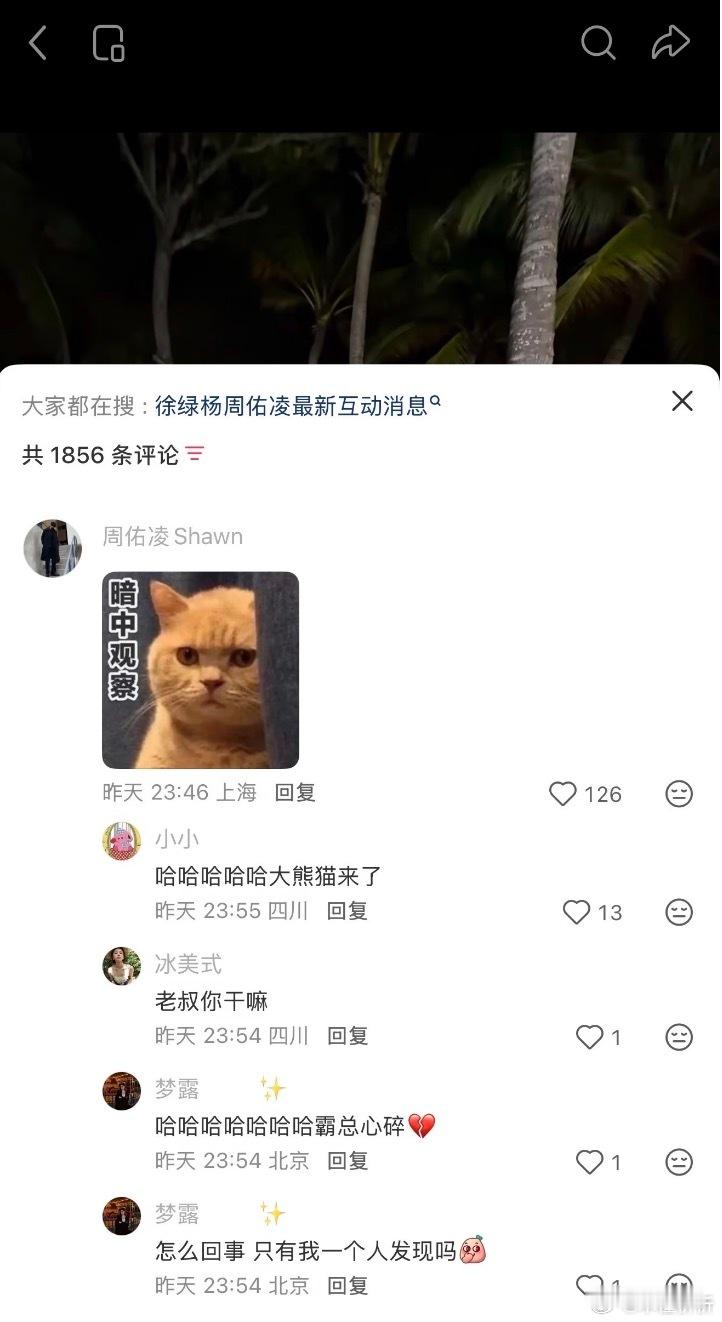 老周真的去盯梢季雨的小红书了，可得把老婆看紧点了今天的正片应该会非常虐吧… 