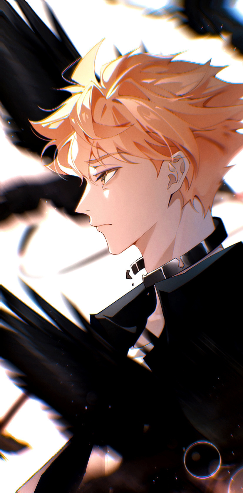 排球少年逆行然后成长二次元漫画cr.Reineis 