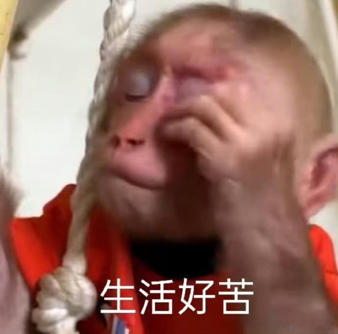 千万不要把AI当人生导师 别把灵魂外包给算法，它会让你变得懒惰而空洞。去生活，去