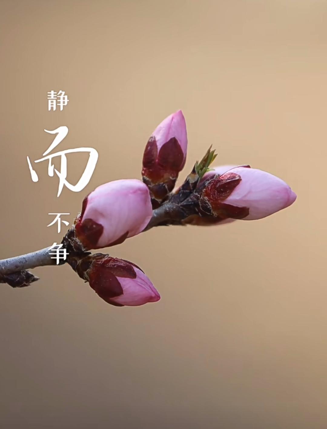 在这个浮躁的社会，每个人都需要静下来去修心。
修心之后，我们才发现自己也不是什么