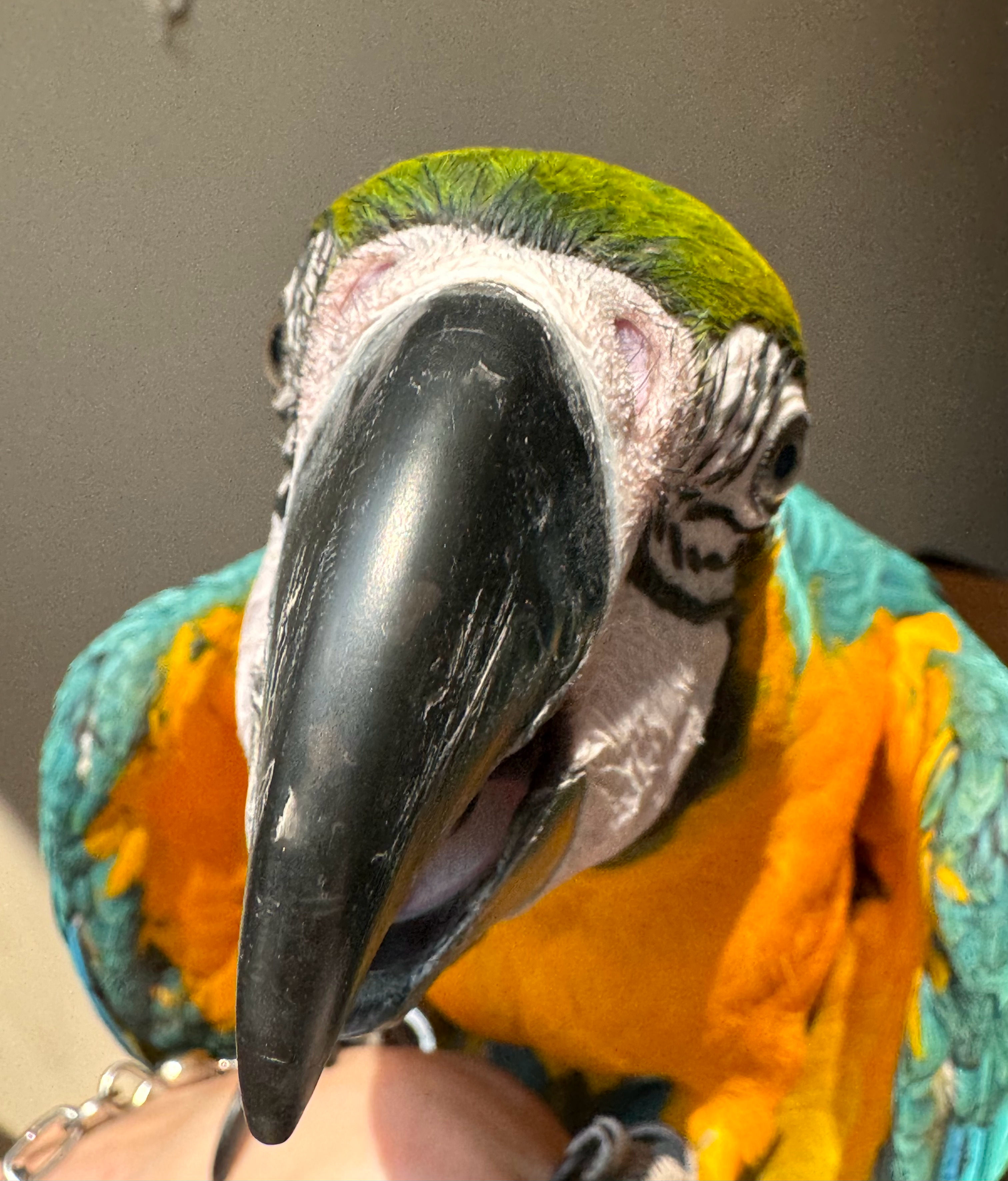 过年好，祝大家新年发大财～