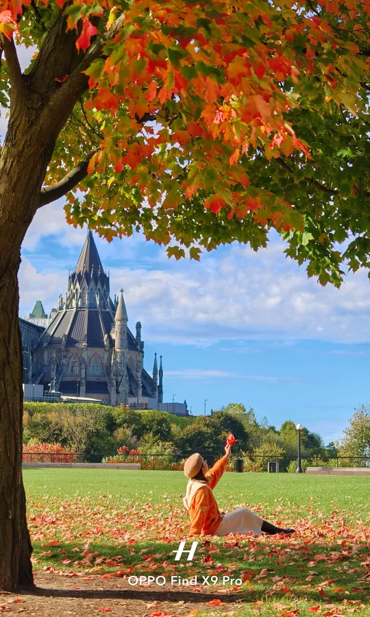 “你是我秋日的欢喜～”