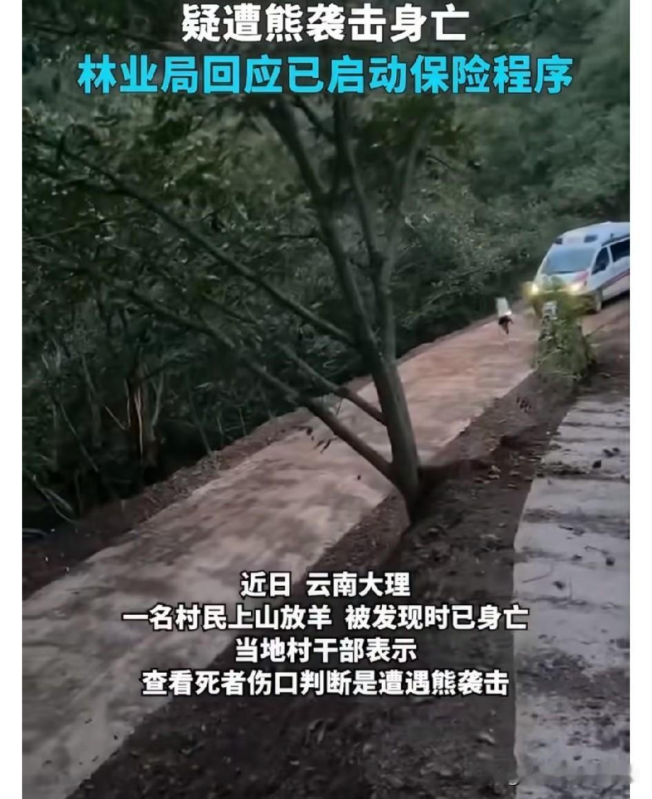 🐻大理永平这起放羊村民疑似遭熊袭击的事看的人心里揪得慌❗️，山边村落的村民世代