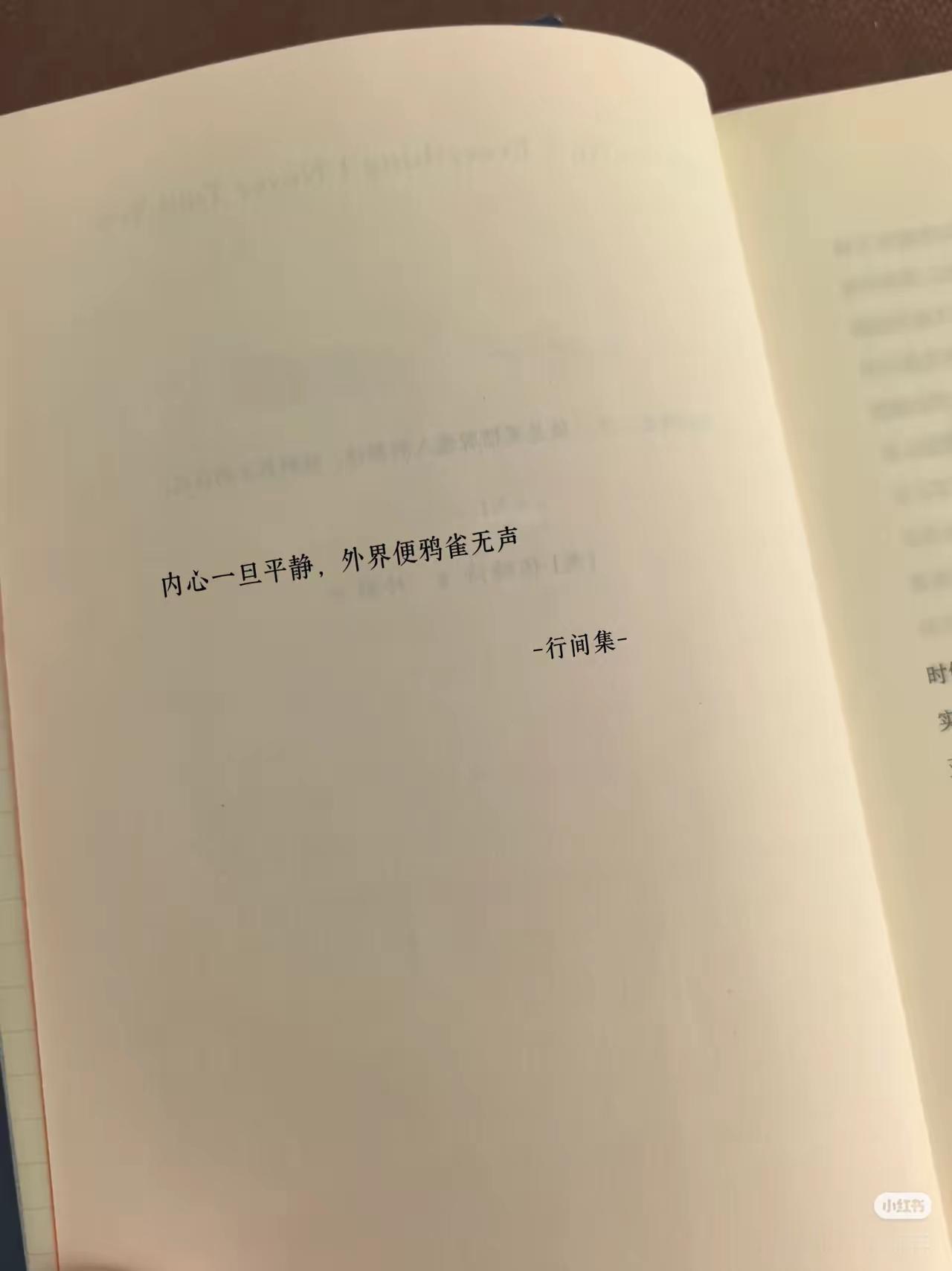 这句话让我突然释怀了[灵光一闪]