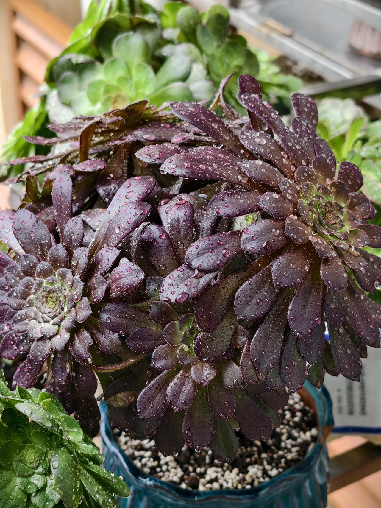 其实，每个阶段我们的需求都在变化
年轻时觉得钱最重要
老了觉得健康最重要
更多的